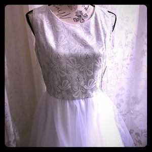 ✨BRAND NEW NEVER WORN✨ Silver/White Dress